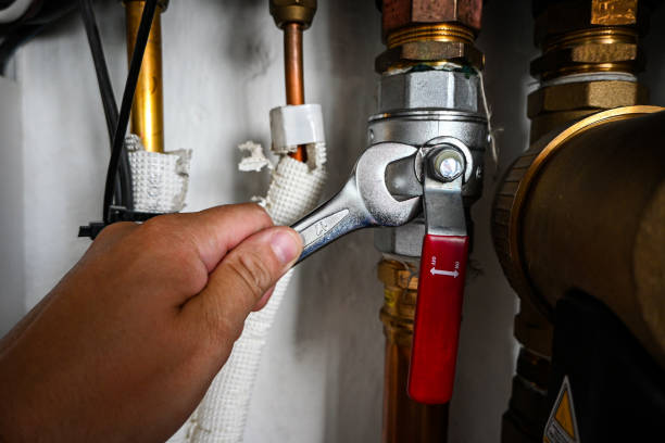 Best Plumbing Inspection Services  in Luck, WI